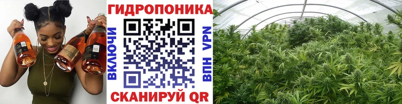 Шишки марихуана сатива  Юрюзань 
